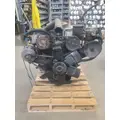 INTERNATIONAL 7.3 DIESEL Engine Assembly thumbnail 13