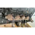 INTERNATIONAL 7.3 DIESEL Engine Assembly thumbnail 6