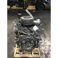 INTERNATIONAL 7.3 Engine Assembly thumbnail 3