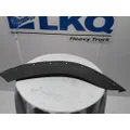 INTERNATIONAL 7600 Fender Extension thumbnail 2
