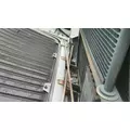 INTERNATIONAL 8600 (RIGHT HAND DRIVE) HOOD thumbnail 6
