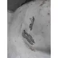 INTERNATIONAL 8600 FENDER EXTENSION thumbnail 5