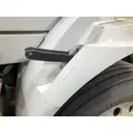 INTERNATIONAL 8600 Fender thumbnail 5