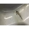 INTERNATIONAL 8600 Fender thumbnail 5