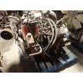 INTERNATIONAL 9.0 DIESEL Engine Assembly thumbnail 3