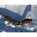 INTERNATIONAL 9200I Exhaust Pipe thumbnail 5