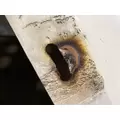 INTERNATIONAL 9200 Fender Extension thumbnail 8