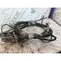 INTERNATIONAL 9400I Dash Wiring Harness thumbnail 19