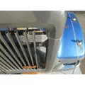 INTERNATIONAL 9900 Eagle Hood thumbnail 5
