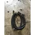 INTERNATIONAL 9900 WIRING HARNESS thumbnail 1