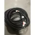 INTERNATIONAL 9900 WIRING HARNESS thumbnail 3