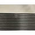INTERNATIONAL 9900ix Series Charge Air Cooler (ATAAC) thumbnail 4