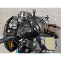 INTERNATIONAL A 325C 6.0L Engine Assembly thumbnail 4
