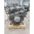 INTERNATIONAL A26  EPA 17 ENGINE ASSEMBLY thumbnail 3