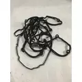INTERNATIONAL A26  EPA 17 Engine Parts, Misc. thumbnail 7
