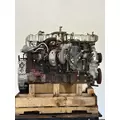 INTERNATIONAL A26 Engine Assembly thumbnail 6