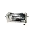 INTERNATIONAL CASCADIA Mirror (Side View) thumbnail 2