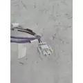INTERNATIONAL CE Body Wiring Harness thumbnail 2