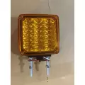 INTERNATIONAL CE Turn Signal Light thumbnail 1