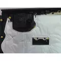 INTERNATIONAL CV Door Panel (Trim) thumbnail 7