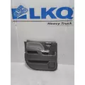 INTERNATIONAL CV Door Panel (Trim) thumbnail 1