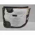 INTERNATIONAL CV Door Panel (Trim) thumbnail 6