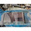 INTERNATIONAL DT-466EGR Engine Assembly thumbnail 6