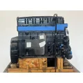 INTERNATIONAL DT 466EGR Engine Assembly thumbnail 6