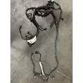 INTERNATIONAL DT 466EGR Wiring Harness thumbnail 1