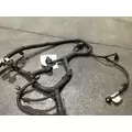 INTERNATIONAL DT 466EGR Wiring Harness thumbnail 4