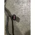 INTERNATIONAL DT 466EGR Wiring Harness thumbnail 3