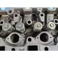 INTERNATIONAL DT 466E Cylinder Head thumbnail 7