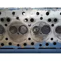 INTERNATIONAL DT 466E Cylinder Head thumbnail 6