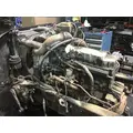 INTERNATIONAL DT 466E Engine Assembly thumbnail 4