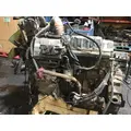 INTERNATIONAL DT 466E Engine Assembly thumbnail 4