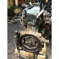 INTERNATIONAL DT 466E Engine Assembly thumbnail 2