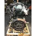 INTERNATIONAL DT 466E Engine Assembly thumbnail 2