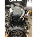 INTERNATIONAL DT 466E Engine Assembly thumbnail 3