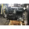 INTERNATIONAL DT 466E Engine Assembly thumbnail 2