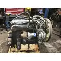 INTERNATIONAL DT 466E Engine Assembly thumbnail 2