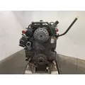 INTERNATIONAL DT 466E Engine Assembly thumbnail 2