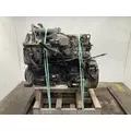 INTERNATIONAL DT 466E Engine Assembly thumbnail 3