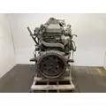 INTERNATIONAL DT 466E Engine Assembly thumbnail 4