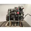 INTERNATIONAL DT 466E Engine Assembly thumbnail 5