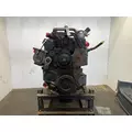 INTERNATIONAL DT 466E Engine Assembly thumbnail 2