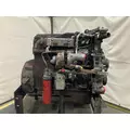 INTERNATIONAL DT 466E Engine Assembly thumbnail 3