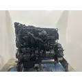 INTERNATIONAL DT 466E Engine Assembly thumbnail 4