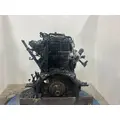 INTERNATIONAL DT 466E Engine Assembly thumbnail 5