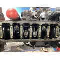 INTERNATIONAL DT 466E Engine Assembly thumbnail 8