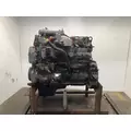 INTERNATIONAL DT 466E Engine Assembly thumbnail 3